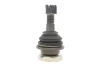 Опора кульова (передня/знизу) Nissan Navara 2.5 TD 98-01 VKDS 812008 SKF VKDS-812008 (фото 4)