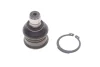 Опора кульова (передня/знизу) Nissan Tiida 07-12/NV200/Cube/Leaf 10- VKDS 812009 SKF VKDS-812009 (фото 1)