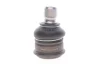 Опора кульова (передня/знизу) Nissan Tiida 07-12/NV200/Cube/Leaf 10- VKDS 812009 SKF VKDS-812009 (фото 4)
