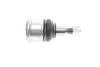 Опора кульова (передня/знизу) Honda Accord VII 2.0/2.2D/2.4 03-08 VKDS 813004 SKF VKDS-813004 (фото 4)