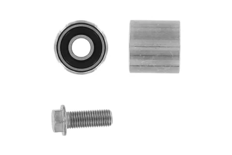 Ролик ведучий VAG (вир-во) SKF VKM-21220