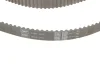 Комплект ГРМ VW Caddy/Sharan/Seat Ibiza 1.9TDI/SDI 95-06 (25x137) VKMA 01019 SKF VKMA-01019 (фото 3)