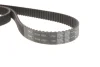 Комплект ГРМ Audi 80/100/A6 2.6/2.8 90-00 (25.4x239) VKMA 01200 SKF VKMA-01200 (фото 9)
