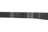 Комплект ГРМ Fiat Doblo 1.9D 01- (24x193) VKMA 02174 SKF VKMA-02174 (фото 3)