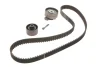 Комплект ГРМ Citroen Berlingo/Peugeot Partner 1.6 16V 00-11 VKMA 03132 SKF VKMA-03132