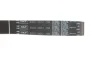 Комплект ГРМ Citroen Berlingo/Peugeot Partner 1.6 16V 00-11 VKMA 03132 SKF VKMA-03132 (фото 4)