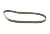 Комплект ГРМ Citroen Berlingo/Xsara/C3/C4/Peugeot 206/301/307/Partner 1.6i 16V 00- (25.4x134z) VKMA 03256 SKF VKMA-03256 (фото 2)