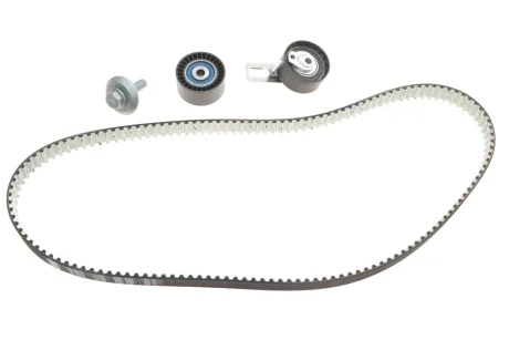 Комплект ГРМ Citroen Berlingo/Jumpy 1.6HDi 10- (25.4x141z) VKMA 03315 SKF VKMA-03315