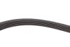 Комплект ременя генератора Renault Kangoo 1.5dCi 08- (6PK1199) VKMA 36055 SKF VKMA-36055 (фото 4)