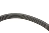 Комплект ременя генератора Renault Kangoo/Megane/Scenic 1.5 dCi 02- (6PK1130) VKMA 36179 SKF VKMA-36179 (фото 4)