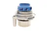 Комплект ГРМ + помпа Audi A3/A4/Skoda Octavia/WV Caddy III/Golf IV/V/Passat/Touran1.6 95- (23x138z) VKMC 01113-1 SKF VKMC-01113-1 (фото 9)