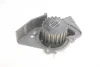 Комплект ГРМ + помпа Citroen Berlingo/Jumpy 2.0HDI 98- (25x141) VKMC 03246 SKF VKMC-03246 (фото 2)