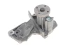 Комплект ГРМ + помпа Ford C-Max/Fiesta/Focus/Mondeo/Mazda 3 1.2-1.6 07-12 (22x117z)(VKPC 84217) VKMC 04226 SKF VKMC-04226 (фото 5)