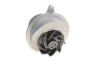 Комплект ГРМ + помпа Opel Astra F/Omega A/Vectra A 1.6-2.0 81-98 (20x111z) VKMC 05401 SKF VKMC-05401 (фото 3)