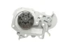 Комплект ГРМ + помпа Renault Kangoo 1.4/1.6i 97-/Dacia Logan/Sandero 1.4/1.6 04- (17x96z) VKMC 06003 SKF VKMC-06003 (фото 5)