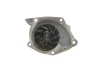 Комплект ГРМ + помпа Renault Trafic/Opel Vivaro 1.9dCi 01- (132x26) VKMC 06127 SKF VKMC-06127 (фото 7)