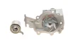 Комплект ГРМ + помпа Daewoo Matiz 0.8/Chevrolet Spark 0.8 00-06 (107x25,4) VKMC 90001 SKF VKMC-90001 (фото 4)
