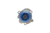 Помпа води Seat Cordoba/Ibiza/Skoda Fabia/VW Polo 1.9SDI 99-12 VKPC 81416 SKF VKPC-81416 (фото 3)