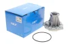 Помпа води Audi A4/A6/Skoda Felicia/VW Golf/Caddy/Passat/Polo 1.9D/TDI/SDI 95- VKPC 81615 SKF VKPC-81615 (фото 2)