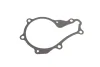 Помпа води Citroen C1/C2/C3/Nemo/Ford Fiesta/Peugeot 206/307/Bipper/Mazda 2 1.4HDI/TDCI 02- (21z) VKPC 83140 SKF VKPC-83140 (фото 5)