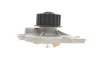 Помпа води Ford Focus/Kuga/Mondeo 2.5ST/RS 05-/Renault Laguna 2.0 16V 95- (z=19) VKPC 86618 SKF VKPC-86618 (фото 2)