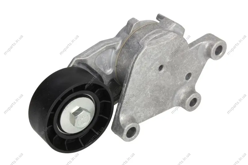 Натяжник ременя генератора Citroen/Peugeot/Ford 1.4HDi/1.6TDCi 01- SNR GA359.00 SNR NTN GA359-00 (фото 1)