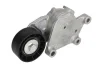 Натяжник ременя генератора Citroen/Peugeot/Ford 1.4HDi/1.6TDCi 01- SNR GA359.00 SNR NTN GA359-00 (фото 1)
