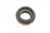 Подушка амортизатора (переднього) + підшипник Ford Escort/Fiesta/Siera 1.0-2.9 82-97 SNR KB652.00 SNR NTN KB652-00 (фото 2)