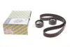 Комплект ГРМ Peugeot Expert/ Citroen Jumpy 2.0HDI 10- SNR KD459.57 SNR NTN KD459-57 (фото 2)