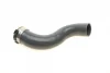 Патрубок інтеркулера Renault Megane III/Scenic III 1.9 dCi 08- SOLGY Solgy 114194 (фото 1)