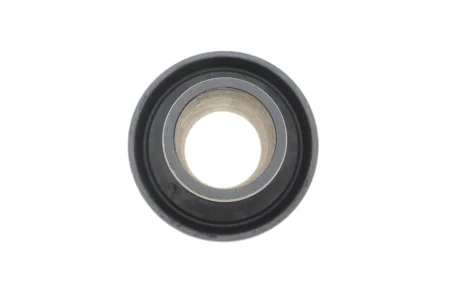 Сайлентблок балки (задньої) Renault Laguna/Megane 95-03 SOLGY Solgy 201385