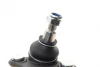 Опора кульова (передня/знизу/R) VW Caddy III/IV 1.6/2.0TDI 03- SOLGY Solgy 203070 (фото 2)