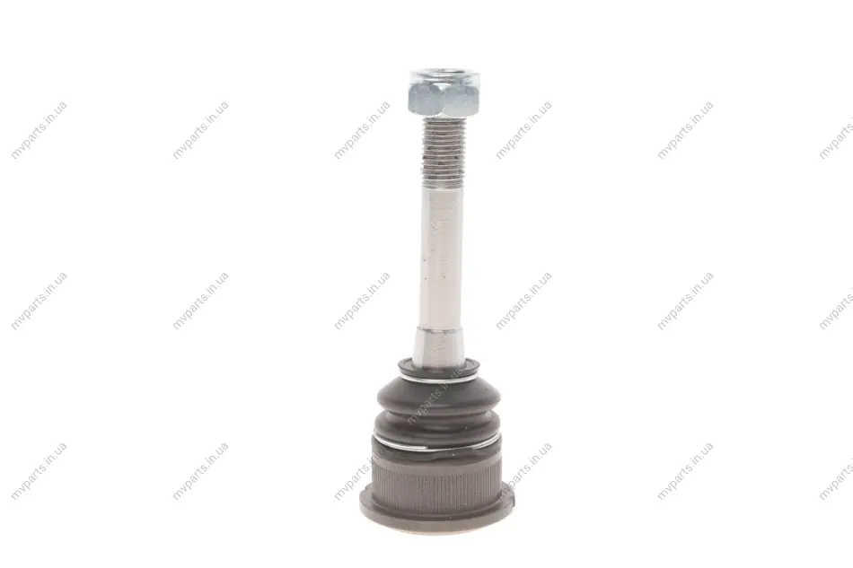 Опора кульова (передня/знизу/всередині) BMW 3 (E36)/Z3 (E36) 1.6i-3.2 90-03 SOLGY Solgy 203079 (фото 1)