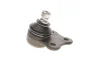 Опора кульова (передня/знизу) Ford Fiesta/Fusion 1.2-1.6 01-12 SOLGY Solgy 203090 (фото 4)