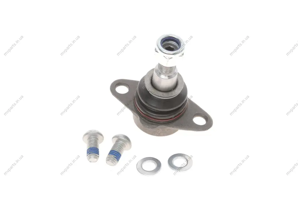 Опора кульова (передня/знизу) BMW X3 (E83) 03-11 SOLGY Solgy 203129 (фото 1)
