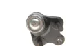 Опора кульова (передня/знизу) Honda CR-V/HR-V 1.5-2.2CDTi 06- SOLGY Solgy 203138 (фото 3)