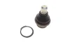 Опора кульова (передня/знизу) Nissan Navara/Pathfinder 04-14 SOLGY Solgy 203156 (фото 1)