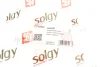 Важіль підвіски (задній) (R) BMW X5 (E53) 00- SOLGY Solgy 204041 (фото 3)