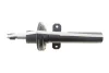 Амортизатор (передній) Ford Mondeo III 00-07 (Gas) SOLGY Solgy 211332 (фото 5)