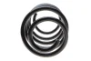 Пружина (передня) VW T5 1.9TDI/Multivan V 1.9 TDI 03-15 SOLGY Solgy 212022 (фото 4)