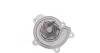 Помпа води MB Vaneo 1.6/1.7 CDI/1.9 02-05 AUTOMOTIVE 02.19.201 TRUCKTEC 02-19-201 (фото 4)