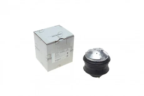 Подушка двигуна (передня) MB C-class (W203)/E-class (W211) 00- AUTOMOTIVE 02.22.095 TRUCKTEC 02-22-095