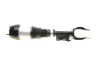 Амортизатор (передній) MB GL-class (X166) 12- (R) AUTOMOTIVE 02.30.369 TRUCKTEC 02-30-369 (фото 3)