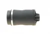 Подушка пневмопідвіски (ззаду) MB R-class (W251/V251) 06-14 AUTOMOTIVE 02.30.384 TRUCKTEC 02-30-384 (фото 5)