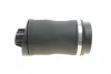 Подушка пневмопідвіски (ззаду) MB R-class (W251/V251) 06-14 AUTOMOTIVE 02.30.384 TRUCKTEC 02-30-384 (фото 7)