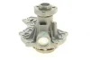 Помпа води Audi A4/A6/VW Passat 1.6/1.8/1.8T/quattro 94-05 AUTOMOTIVE 07.19.082 TRUCKTEC 07-19-082 (фото 4)
