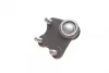Опора кульова (передня/знизу/L) Audi A1 10-/Seat Ibiza 02-15/Skoda Fabia 99-14/Rapid 12-/VW Polo 01 AUTOMOTIVE 07.31.230 TRUCKTEC 07-31-230 (фото 5)