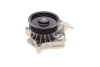 Помпа води BMW 3 (E90/E91/E92) 06-13/X3 (E83) 04-10 AUTOMOTIVE 08.19.236 TRUCKTEC 08-19-236 (фото 6)