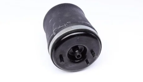 Подушка пневмопідвіски (ззаду) BMW X5 00-06 (R) AUTOMOTIVE 08.30.047 TRUCKTEC 08-30-047