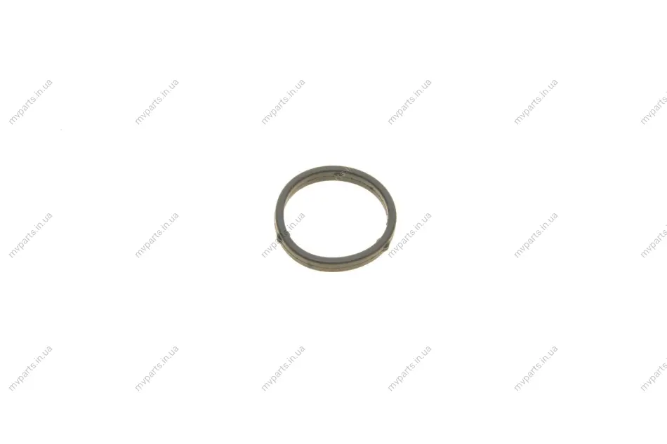 Прокладка насосу масляного ущільнюючого VW Touareg 06-10 VAG 079115131A (фото 1)